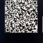bixby1.jpeg