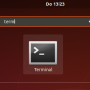 vpn-linux-openconnect-terminal.png