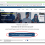1_cat_website.png